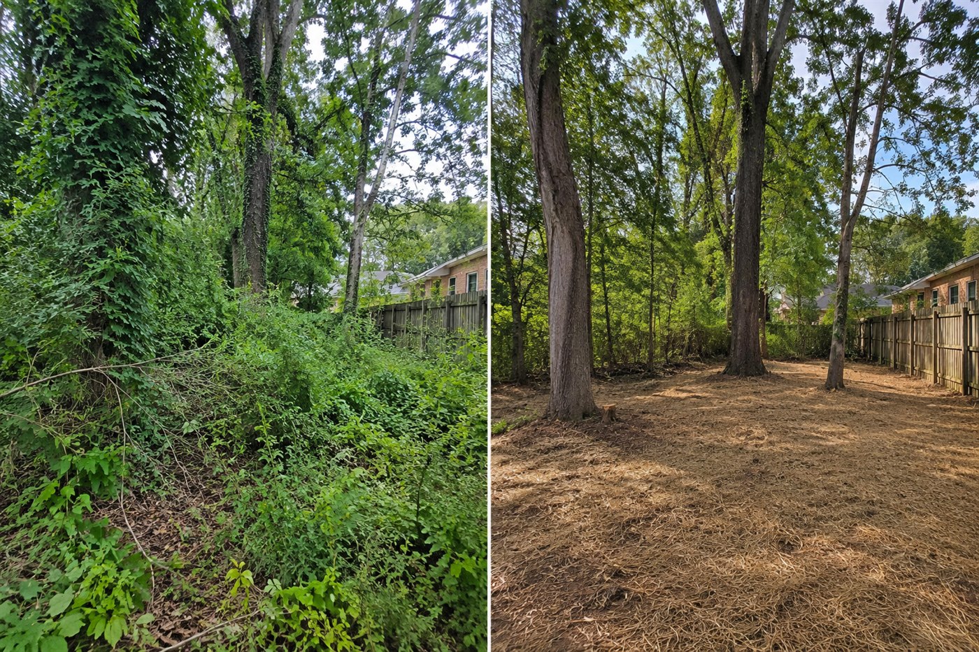 Lot & Brush Clearing