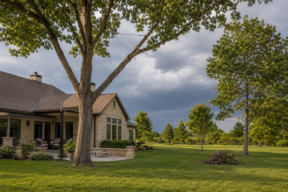 Preparing Your Trees for Storm Season